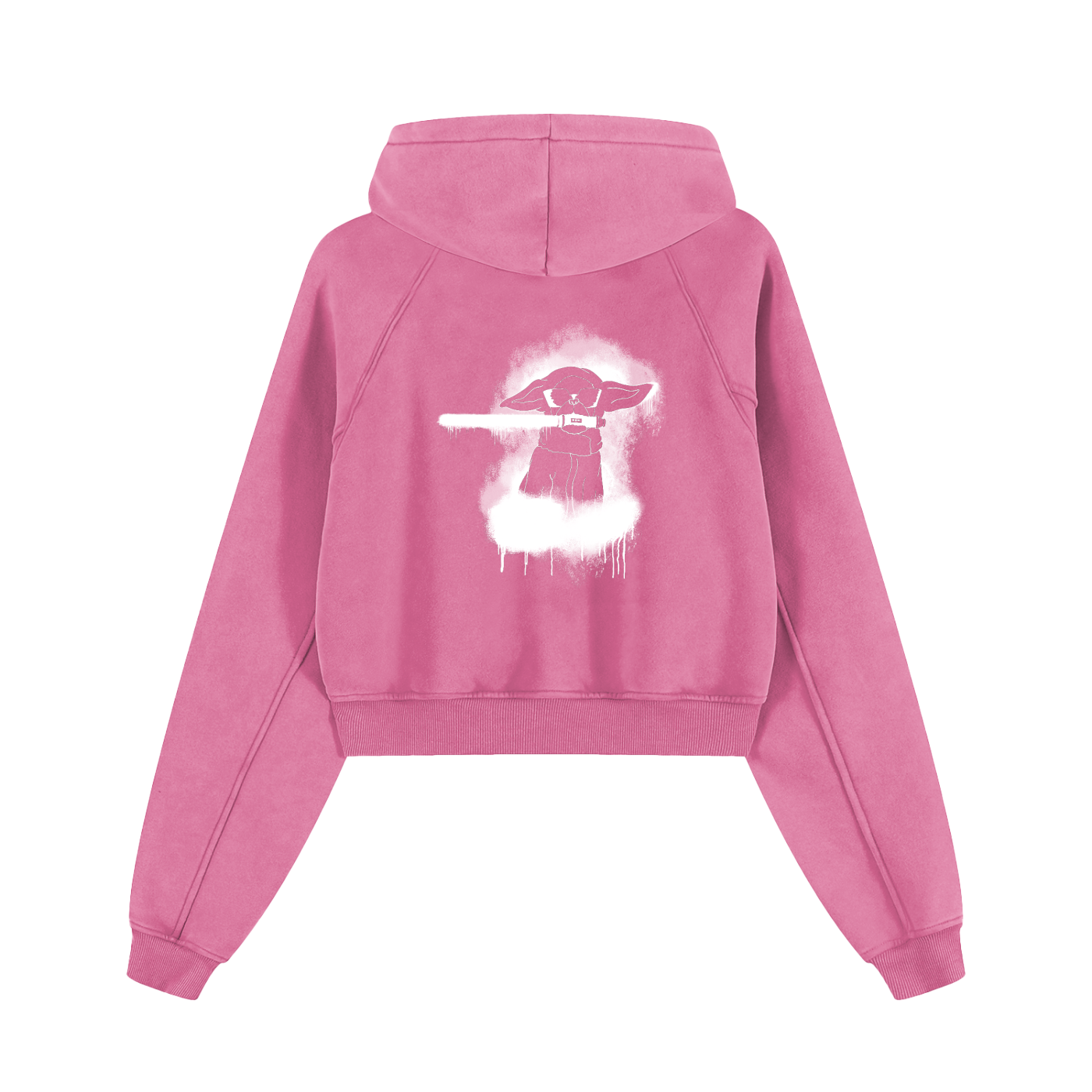 Snow Washed Cropped Hoodie