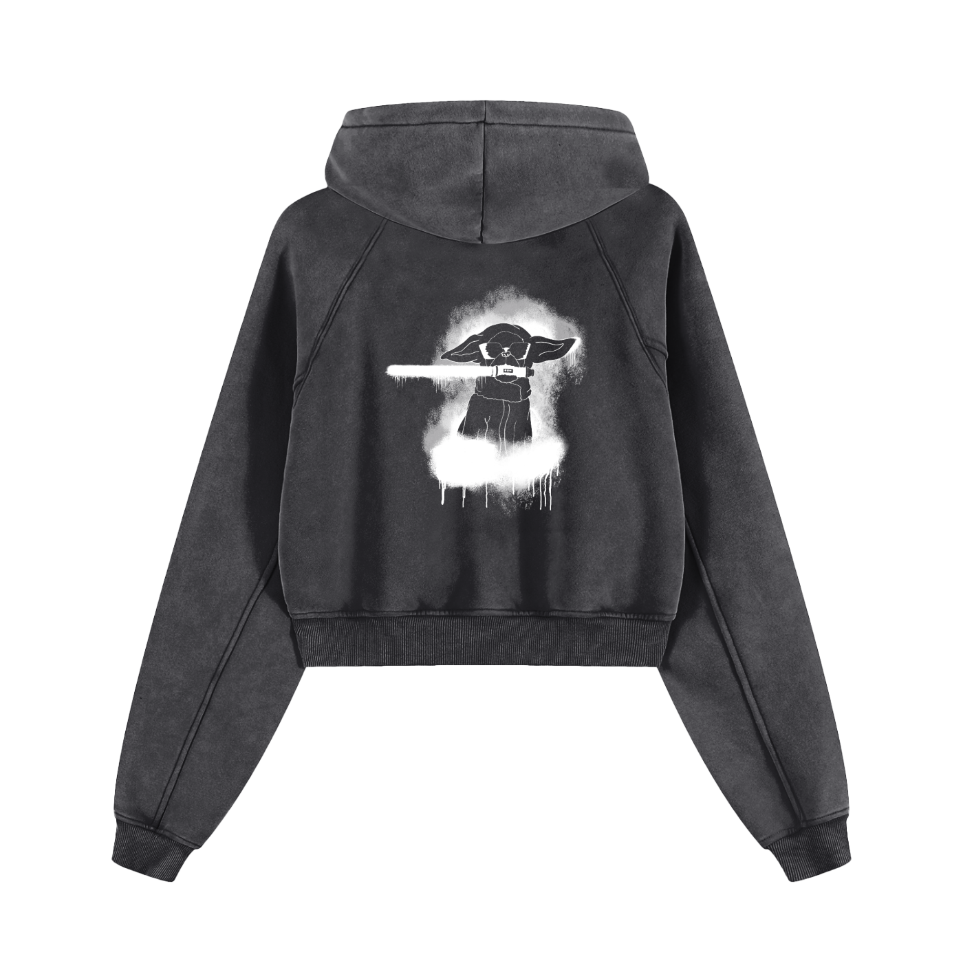 Snow Washed Cropped Hoodie