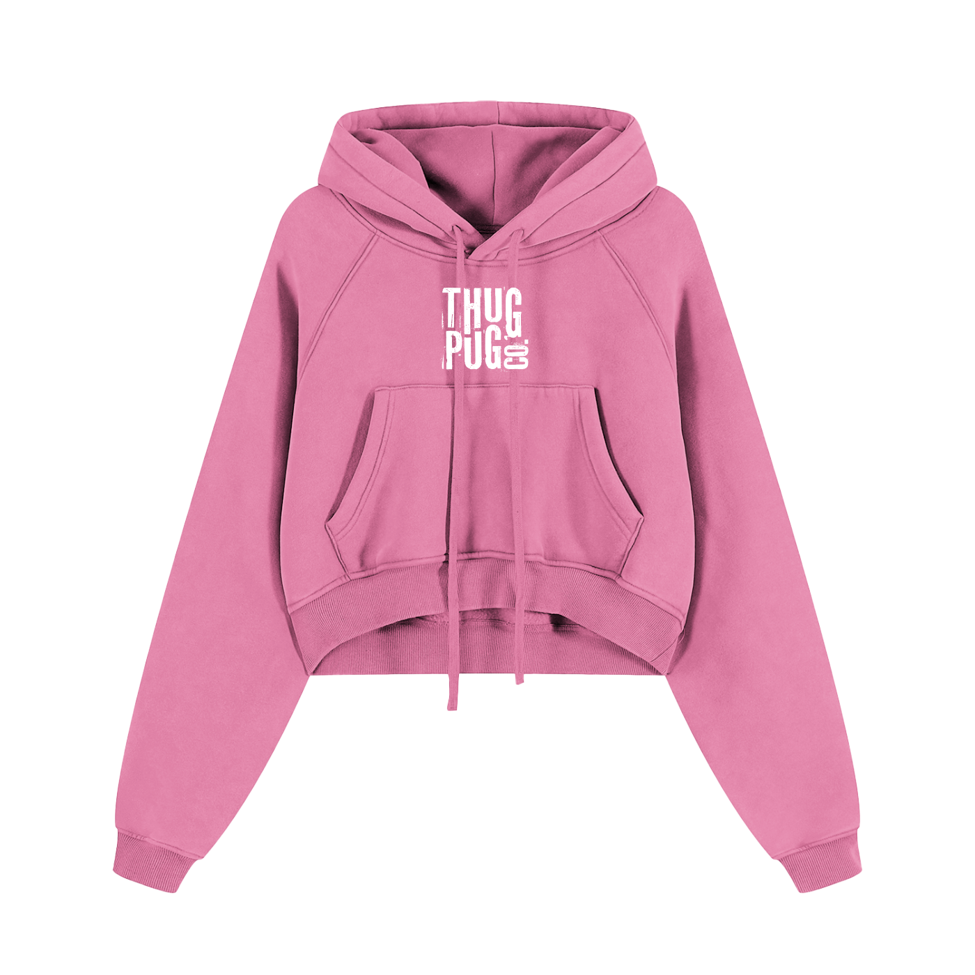 Snow Washed Cropped Hoodie